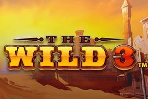 the wild 3 slot